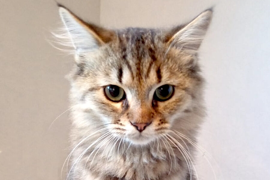 one oriley oxbow IMG_0014 one oriley oxbow IMG_0014