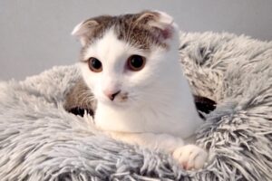 one oriley oxbow IMG_0015 one oriley oxbow IMG_0015