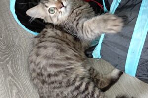 one oriley oxbow IMG_0017 one oriley oxbow IMG_0017