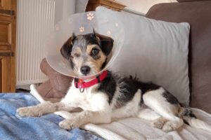 pearl IMG_1000 pearl IMG_1000