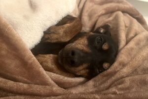 rocky IMG_6724