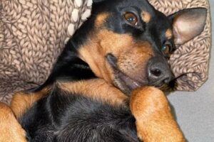 rocky IMG_8997