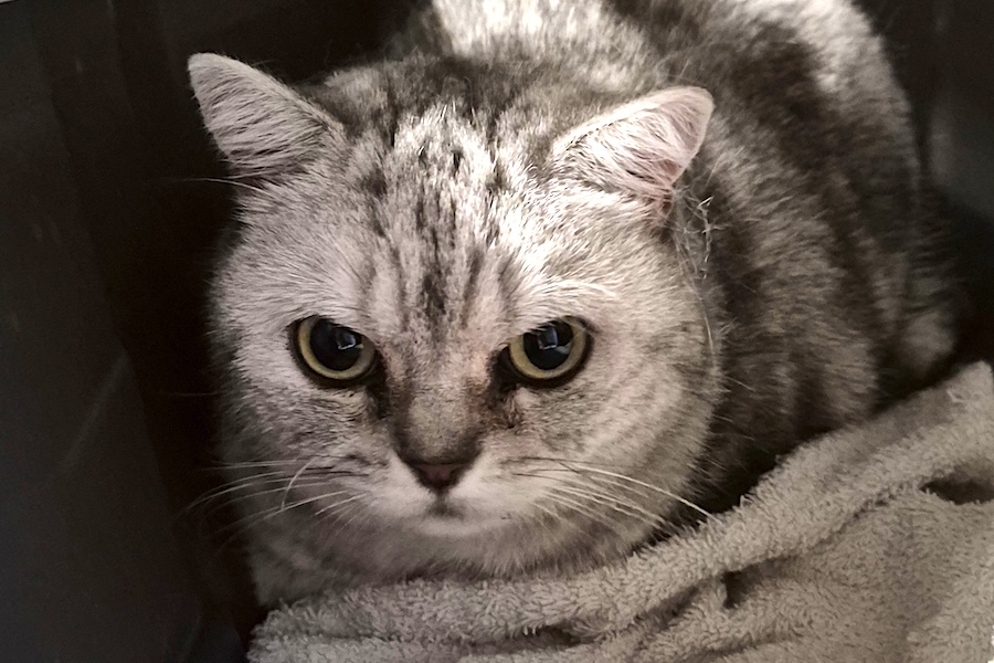 sonja IMG_02 sonja IMG_02