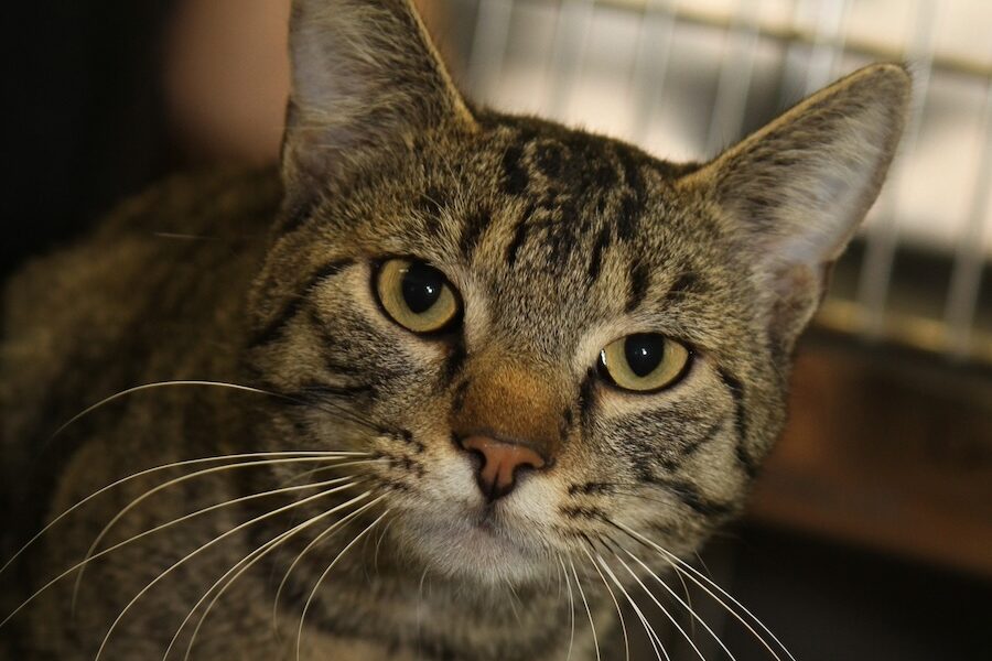 stups IMG_9734we stups IMG_9734we