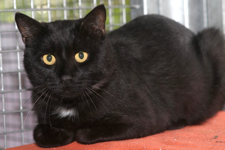 yasha IMG_1553we yasha IMG_1553we