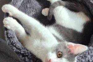 beryll IMG_001 beryll IMG_001