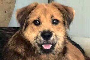 charly IMG 02 charly IMG 02