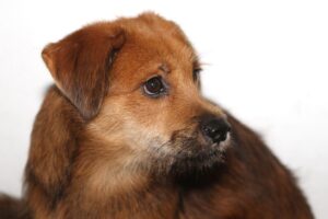 charly IMG_0760we charly IMG_0760we