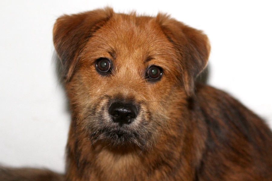 charly IMG_0761we charly IMG_0761we