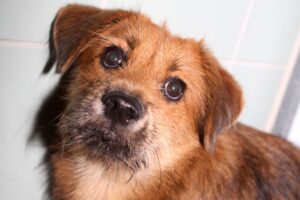 charly IMG_0783we charly IMG_0783we