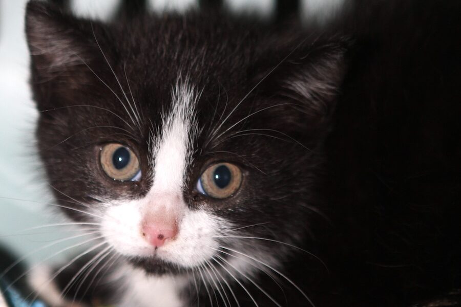 daiquiri IMG_1260we daiquiri IMG_1260we