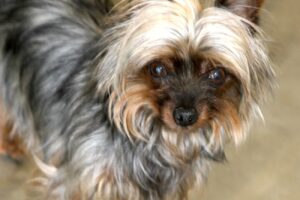 elfi IMG_1859we elfi IMG_1859we