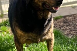 emmy IMG_002