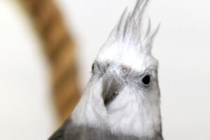 federich annoi IMG_0742we federich annoi IMG_0742we