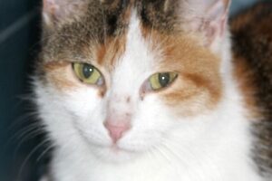 felicitas IMG_1459we