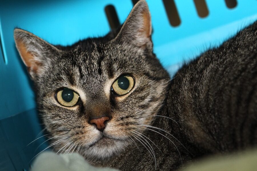 fine IMG_1321we fine IMG_1321we