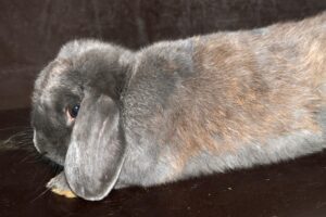 flynn IMG_0992we flynn IMG_0992we