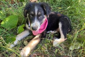 freya IMG_0213