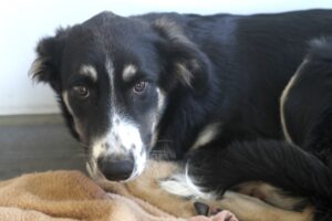 freya IMG_1360we