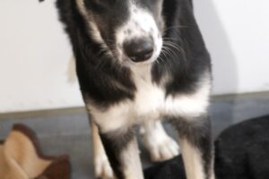 freya IMG_1760we