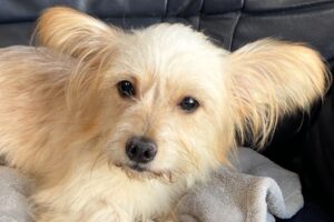 lucy IMG_1002