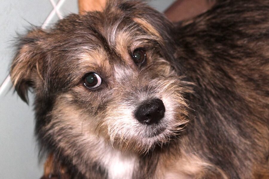 niky IMG_0776qw niky IMG_0776qw