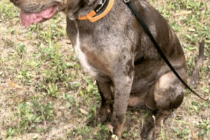 spike von privat 02