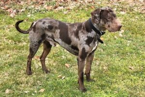spike von privat 06