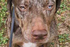 spike von privat3