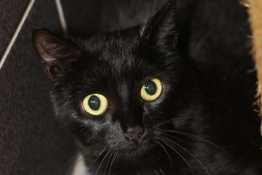 yelena IMG_1273we yelena IMG_1273we