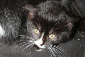 babette babsi bianca IMG_2232we