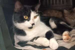 bernd IMG_001 bernd IMG_001