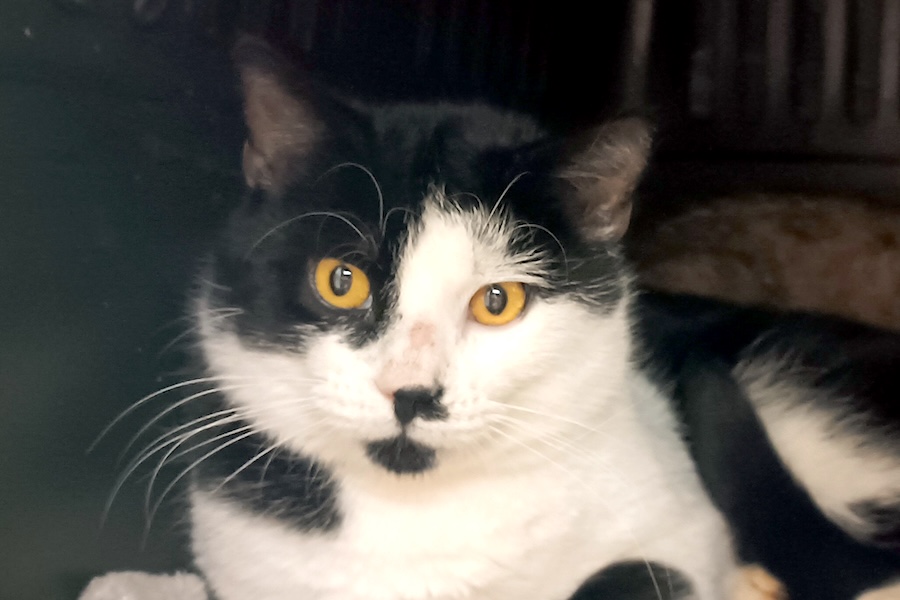 bernd IMG_003 bernd IMG_003