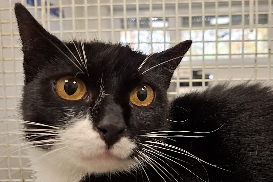 bijou IMG_1000 bijou IMG_1000