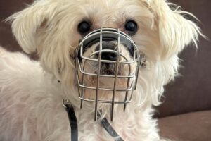 charlie bellhoerde 02 charlie bellhoerde 02