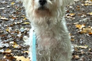 charlie bellhoerde 03 charlie bellhoerde 03