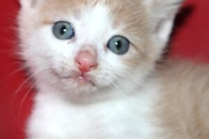 edgar IMG_2067we