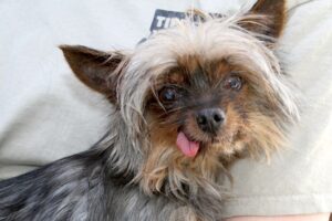 elfi IMG_0518we elfi IMG_0518we