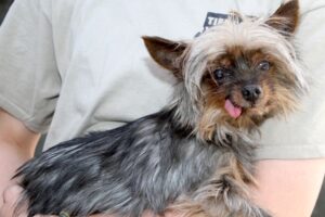 elfi IMG_0519we