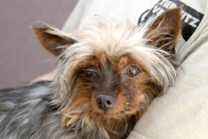 elfi IMG_0524we