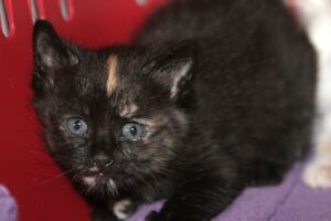 elli IMG_2083we