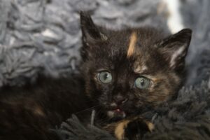 elli IMG_2090we