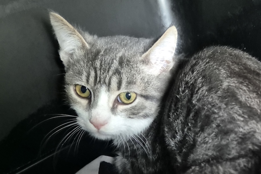 erwin IMG 01 erwin IMG 01