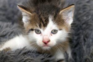 etienneIMG_2091we