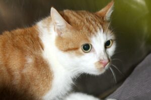 filou IMG_233we3