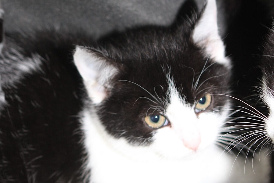 hermine IMG_4532we hermine IMG_4532we