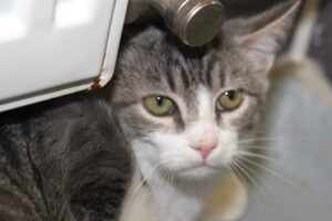 erwin IMG_2035we erwin IMG_2035we