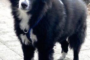 jacky von privat IMG_6020we