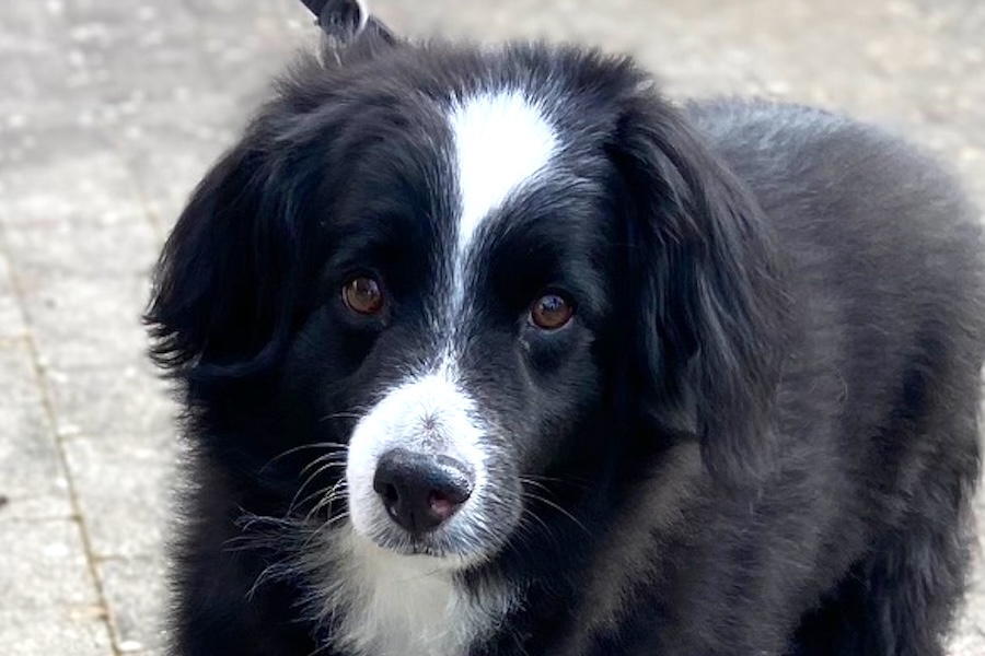 jacky von privat IMG_6026