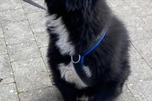 jacky von privat IMG_6032